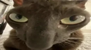 🤨