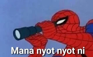 🕸