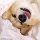 😄