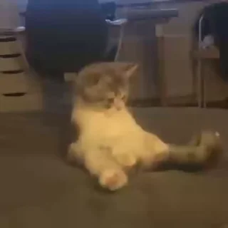 🌟