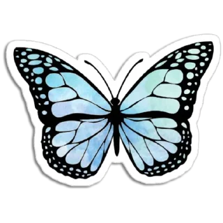 🦋