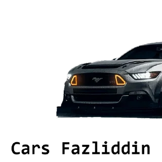 🏎