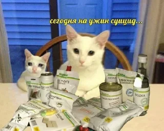 🥘