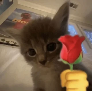 🌹