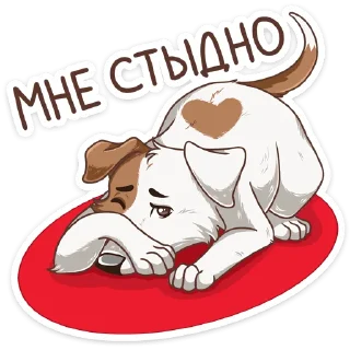 🙈