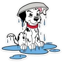 ☔️