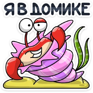 🐚