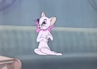 😽