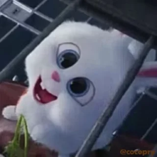 😍