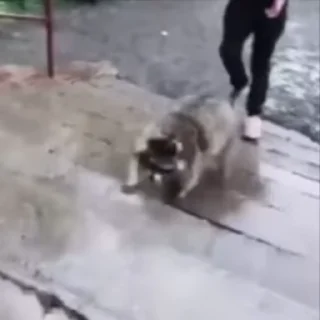 🏃