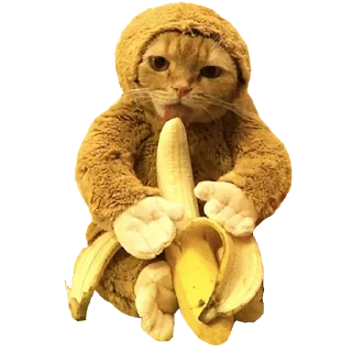 🐵