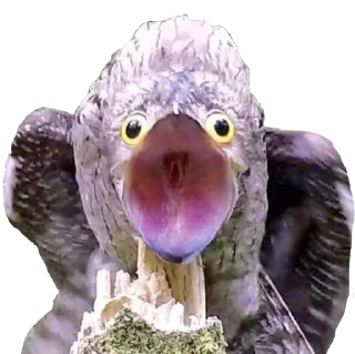 😱