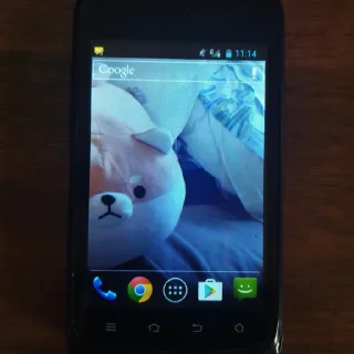 📲