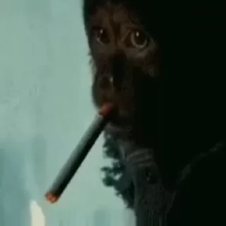 🚬