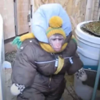 🥶