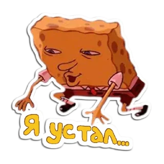 🧽