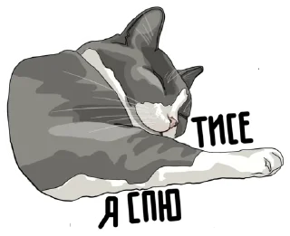 😴