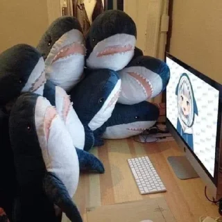 🦈