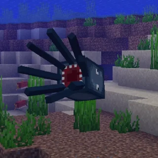 🦑