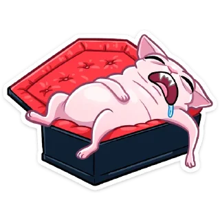 😴