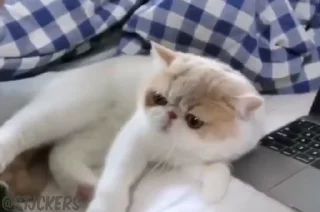 🥹