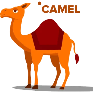 🐪