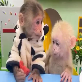 ❤