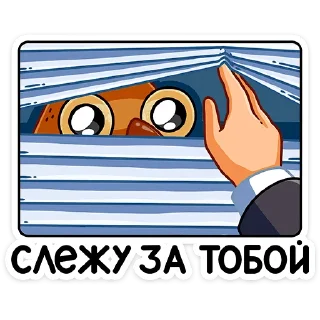 👀