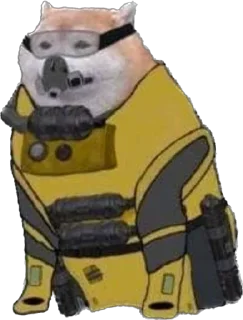 🐶