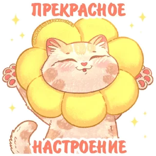 🌼