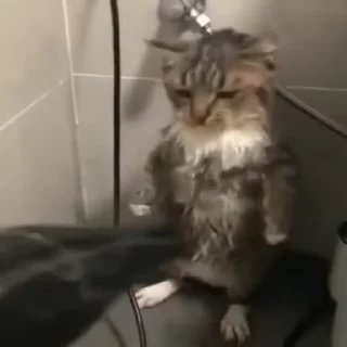 😖