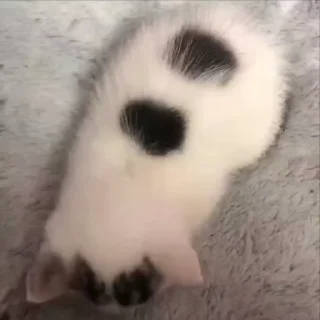 😊