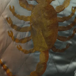 🦂