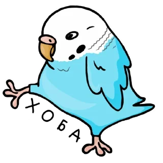 parrot @stickersb2b