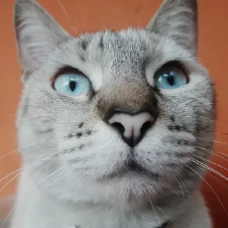 🤨