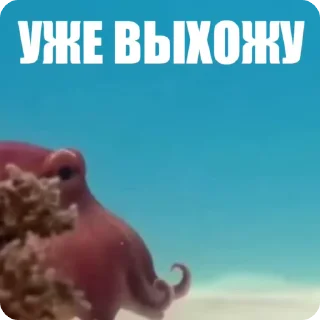 😉