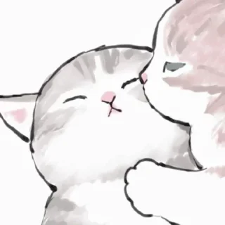 💞