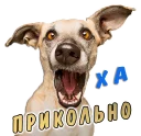 👍