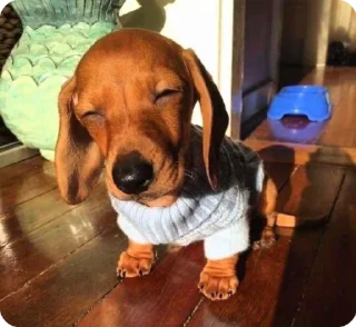 ☺️