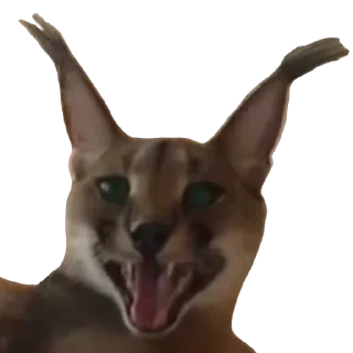 😃