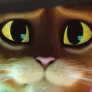 🫡