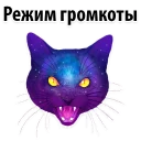 🐱