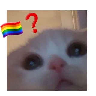 🏳️‍🌈