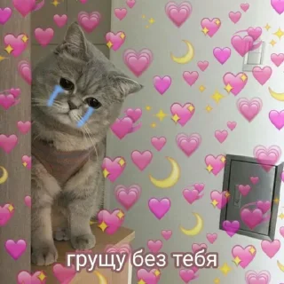 😭