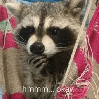 👌