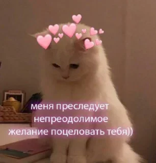 💓