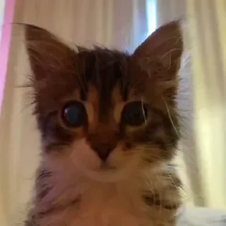 😳