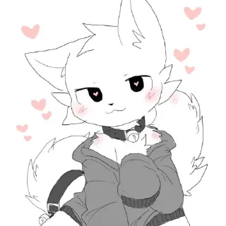 🐱
