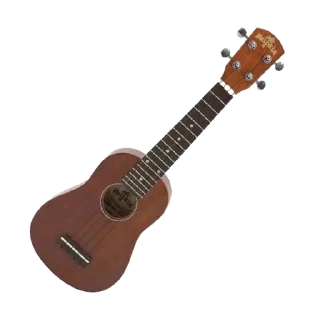 🎸