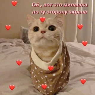 ❤️